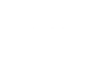Boehringer Print Logistics Specialists Client