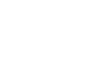 Pfizer Print Logistics Client