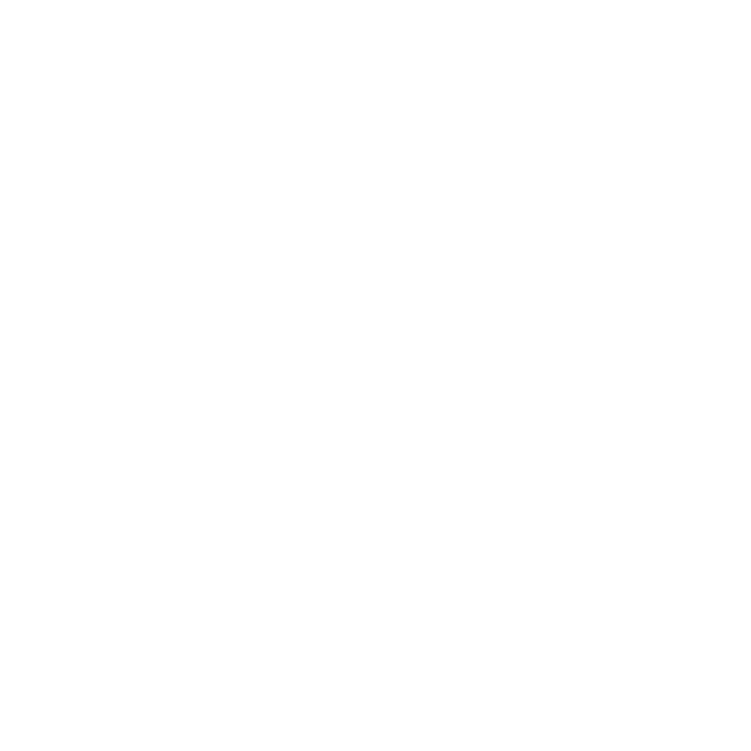 bushmills logo white